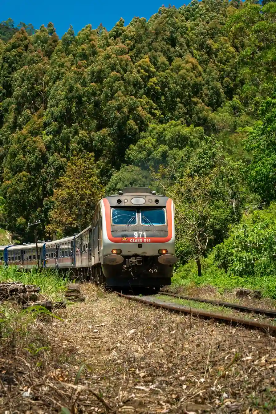 Blue train traveling through the tea plantations of Ella