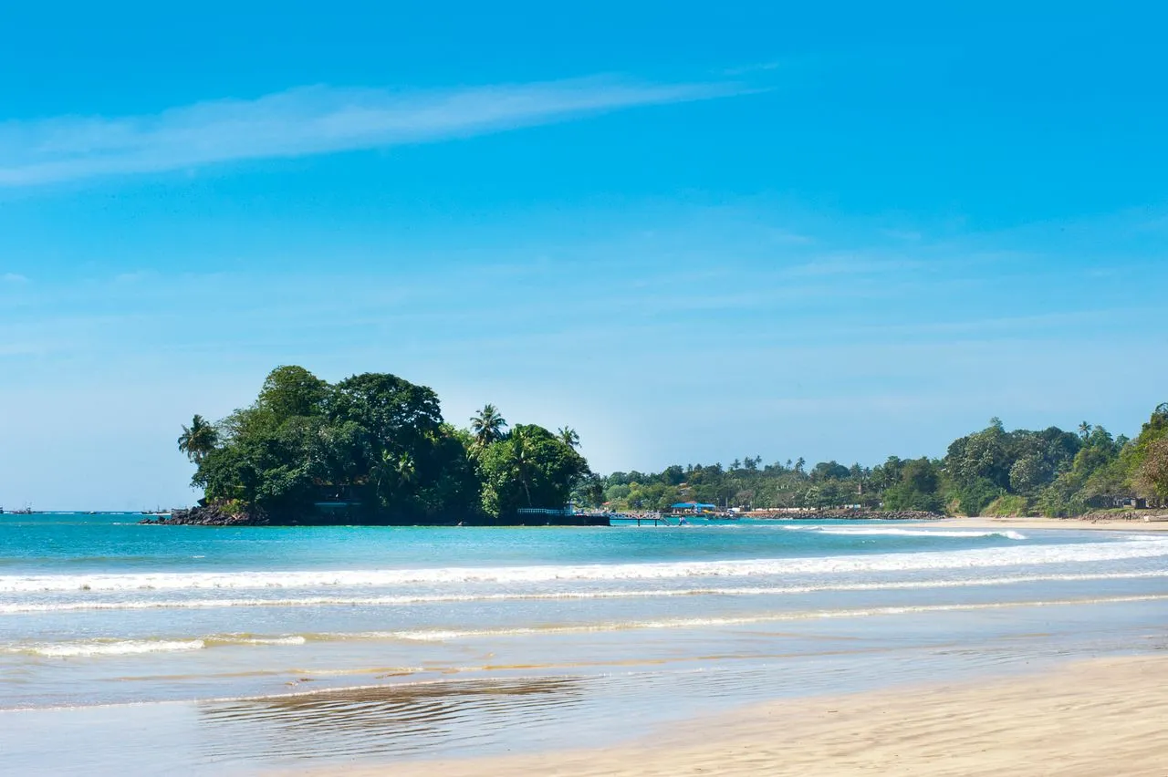 Blue whale watching in Mirissa