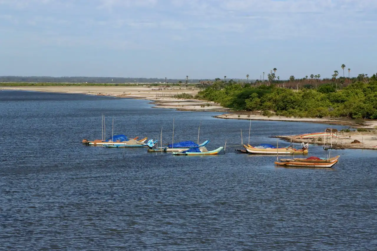 Delft Island with wild horses in Northern Sri Lanka