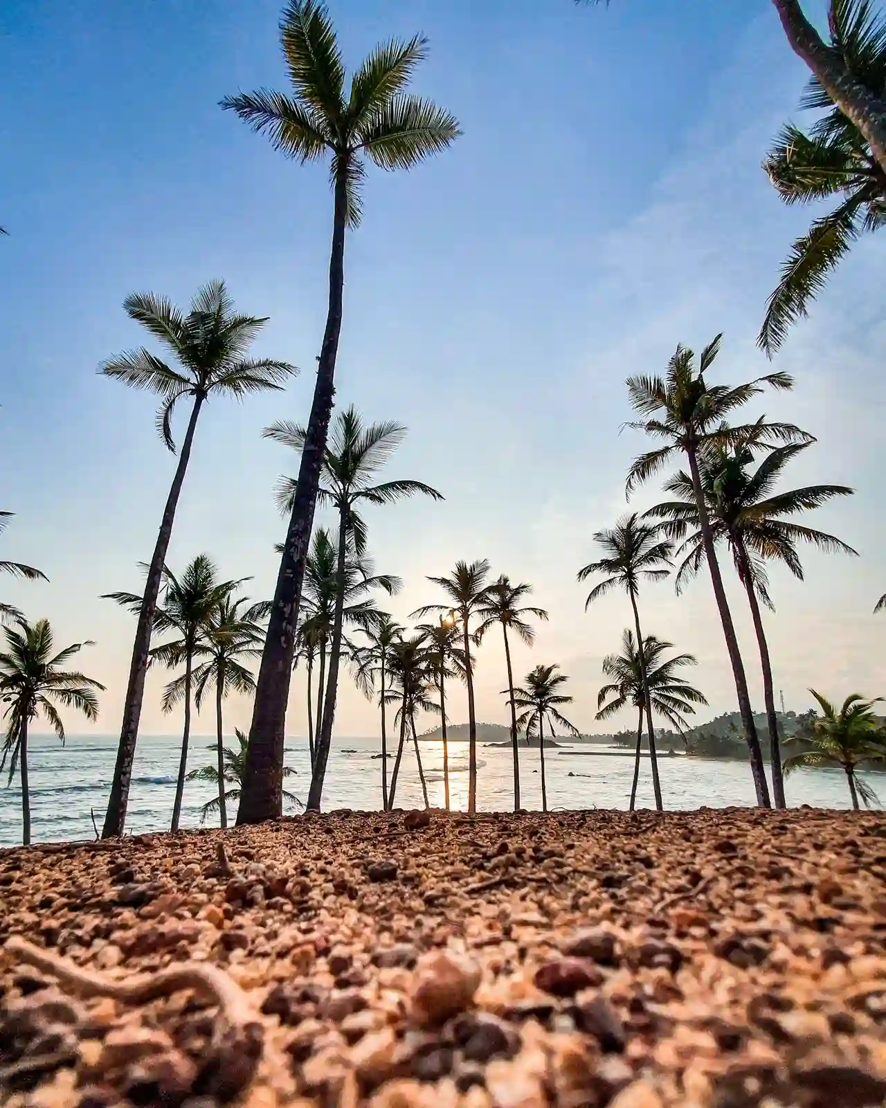 Mirissa Beach at sunset