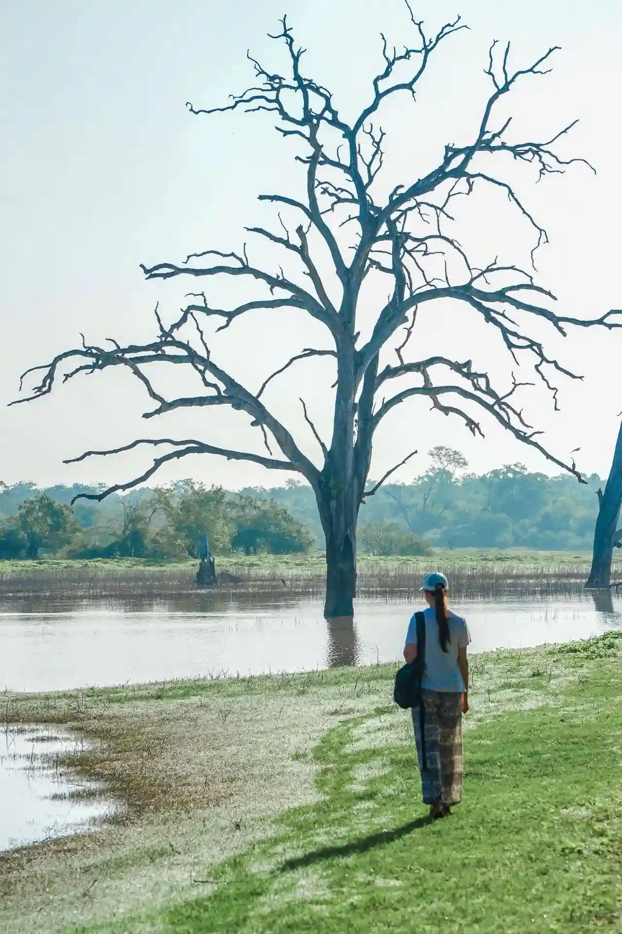 Parakrama Samudra reservoir in Polonnaruwa