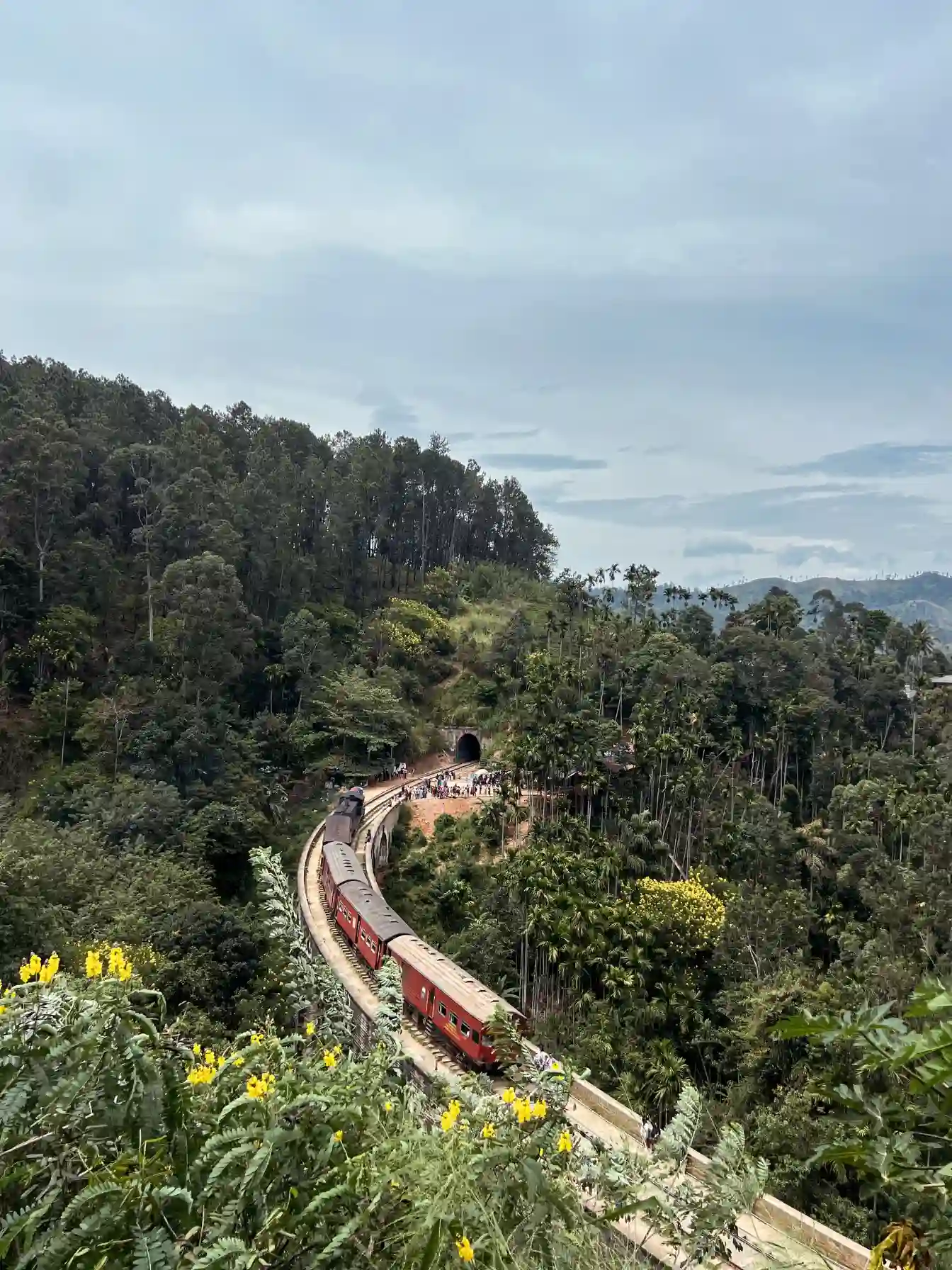 Passengers enjoying the scenic train journey in Sri Lanka