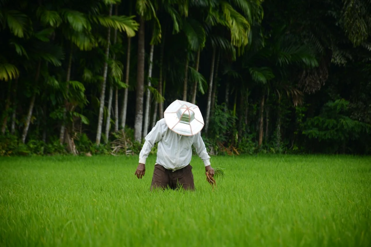 Traditional village life in rural Sri Lanka