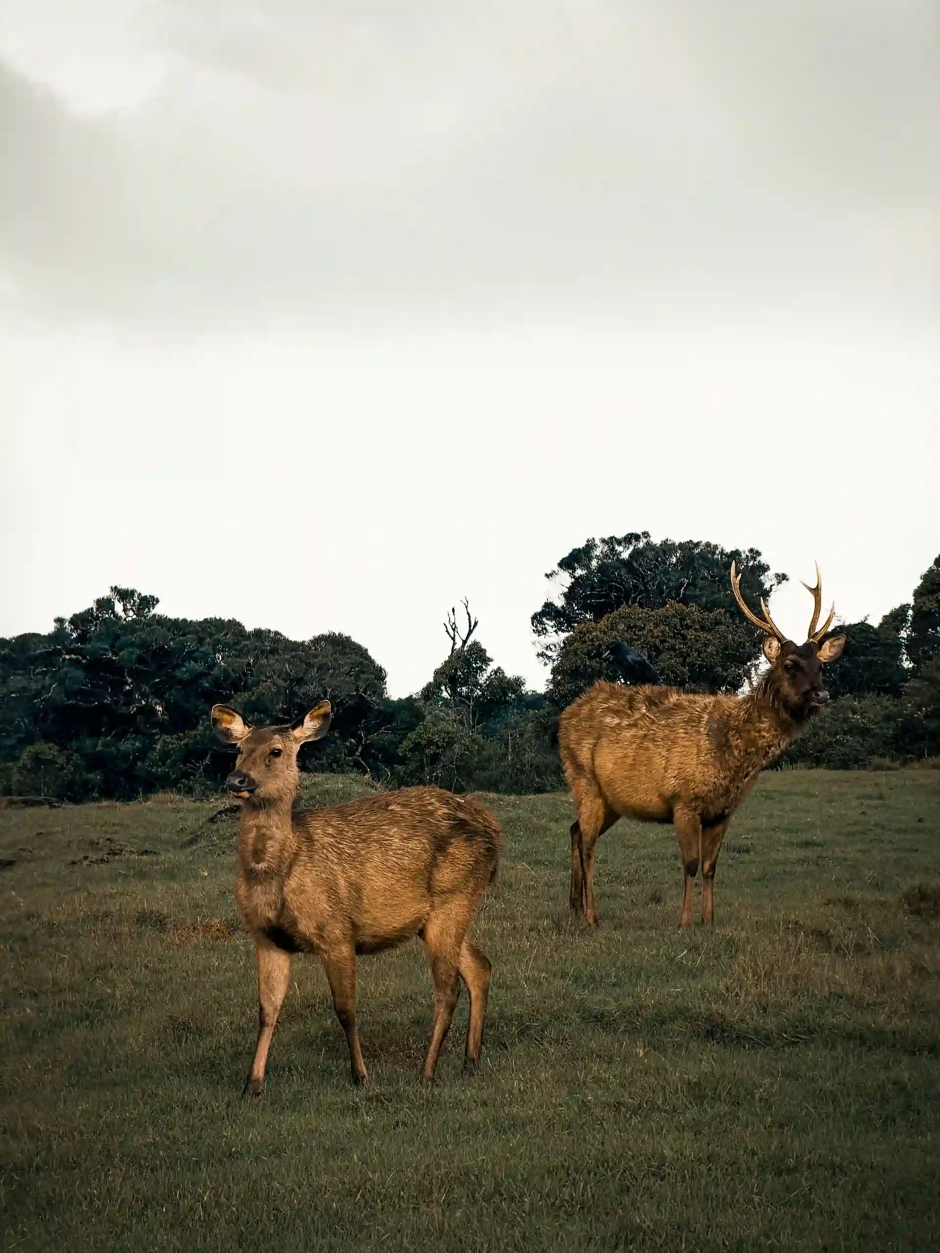 Visitors hiking towards World's End in Horton Plains National Park