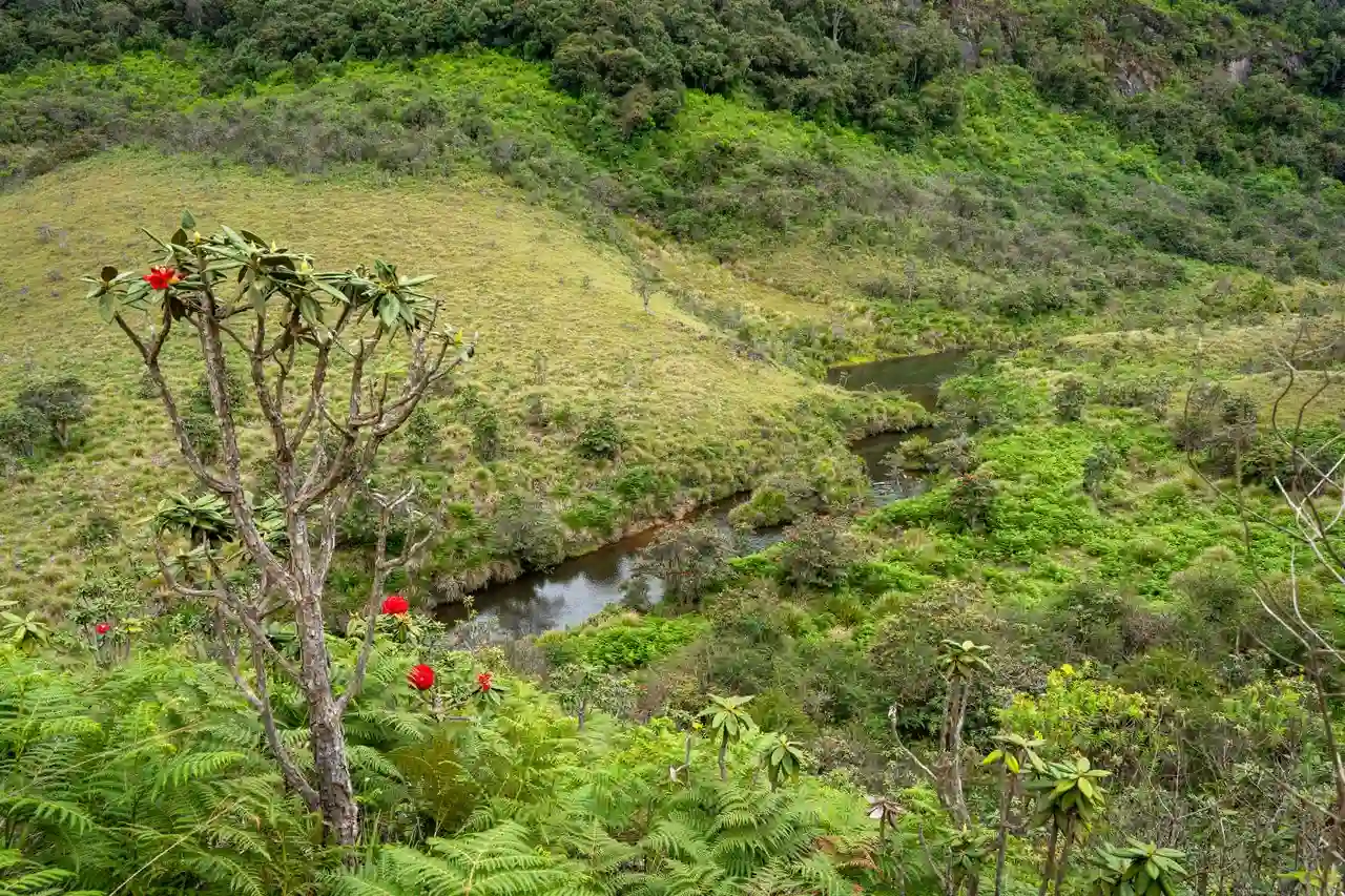 Panoramic view from World's End cliff